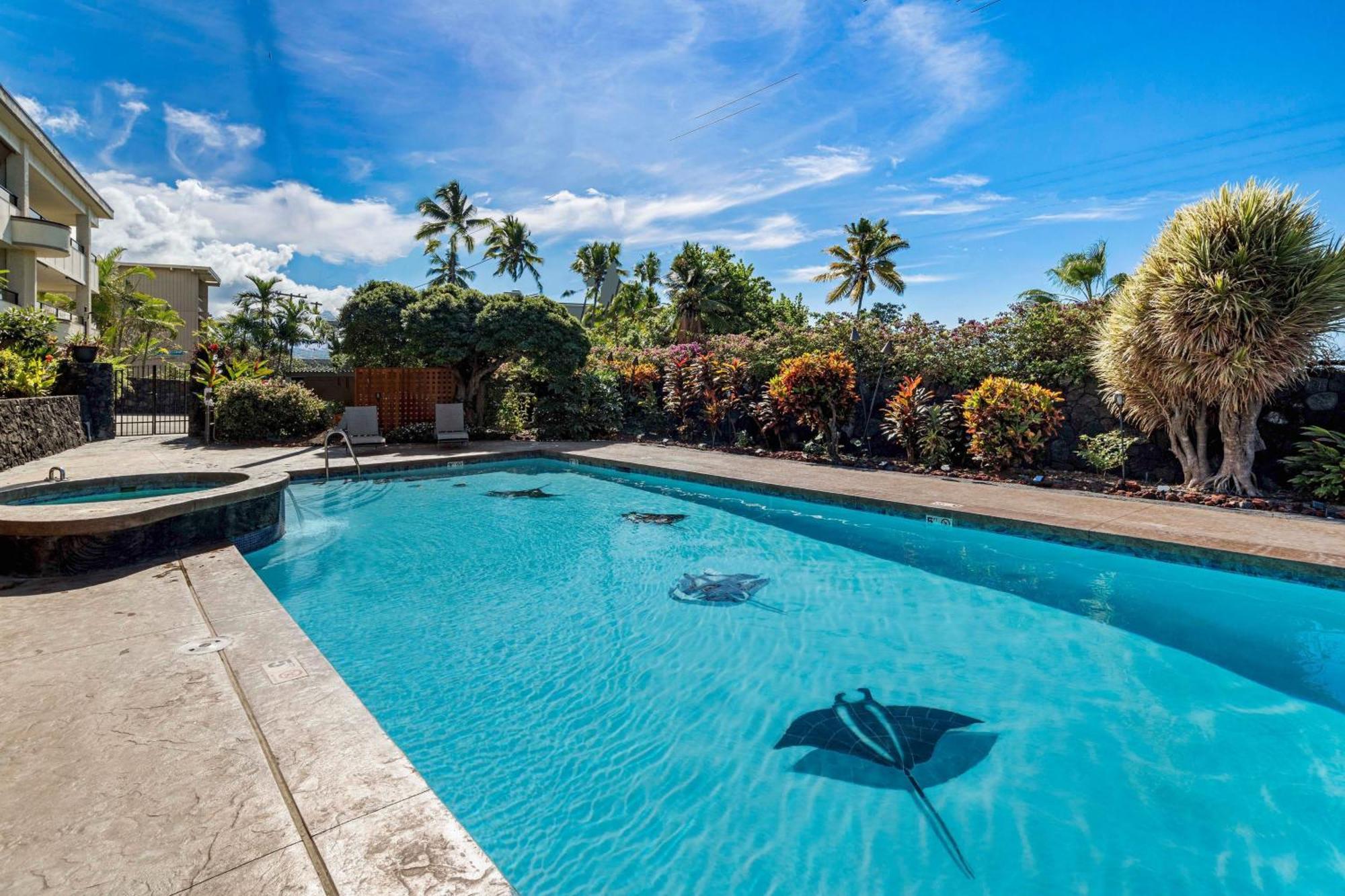 Direct Oceanview Paradise In A Luxury Condo 2B2B,Ac Kailua-Kona Exterior photo